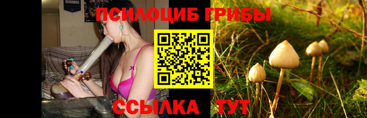 Сибай  Псилоцибиновые грибы мухоморы  Вход с VPN  Псилоцибиновые грибы GOLDEN TEACHER 
